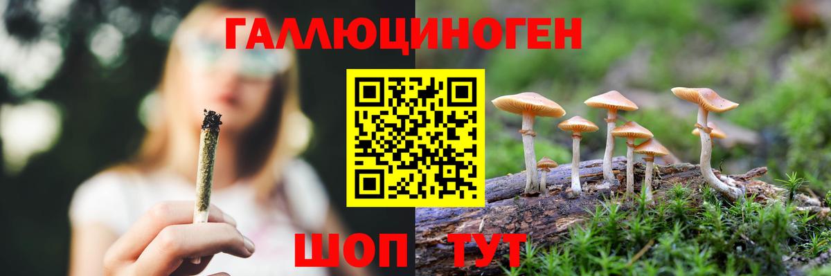 Псилоцибиновые грибы мицелий Кингисепп