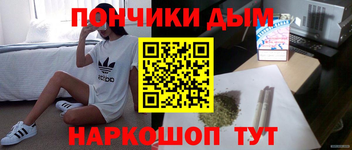 Каннабис индика Кингисепп